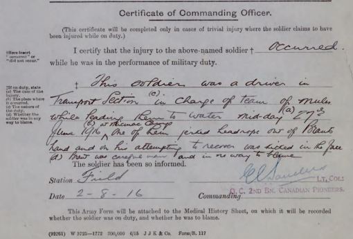 Burton Brant accident report