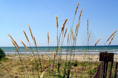 Presqu'ile Beach