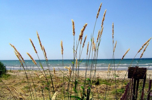 View of Presqu'ile beach.